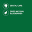 Greenies Blueberry Flavour Regular Dog Dental Treats 340 g