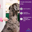 Apex Plus Flea and Tick Prevention for Dogs | Large (45-88 lbs) | 6-Month Supply |