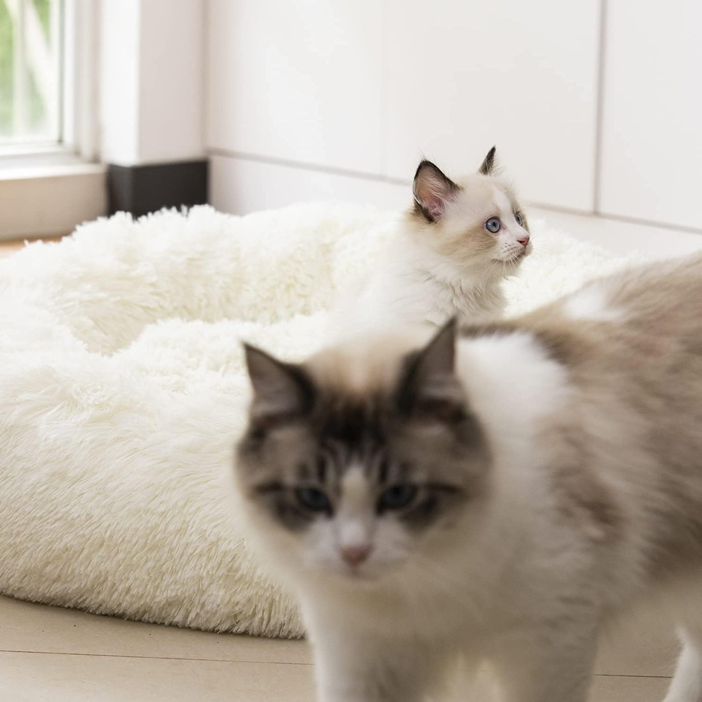 Anti Anxiety Round Fluffy Plush Faux Fur Warm Washable Dog Bed & Cat Bed, Original Bed for Small Medium Large Pets,Used to Relieve Joints and Improve Sleep