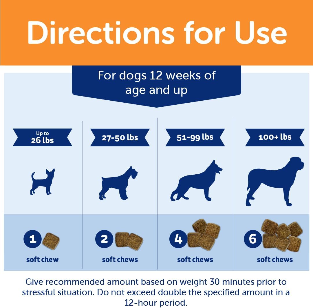 ThunderWunders Dog Calming Chews | Thiamine, L-Tryptophan, Melatonin and Ginger (125 Count)