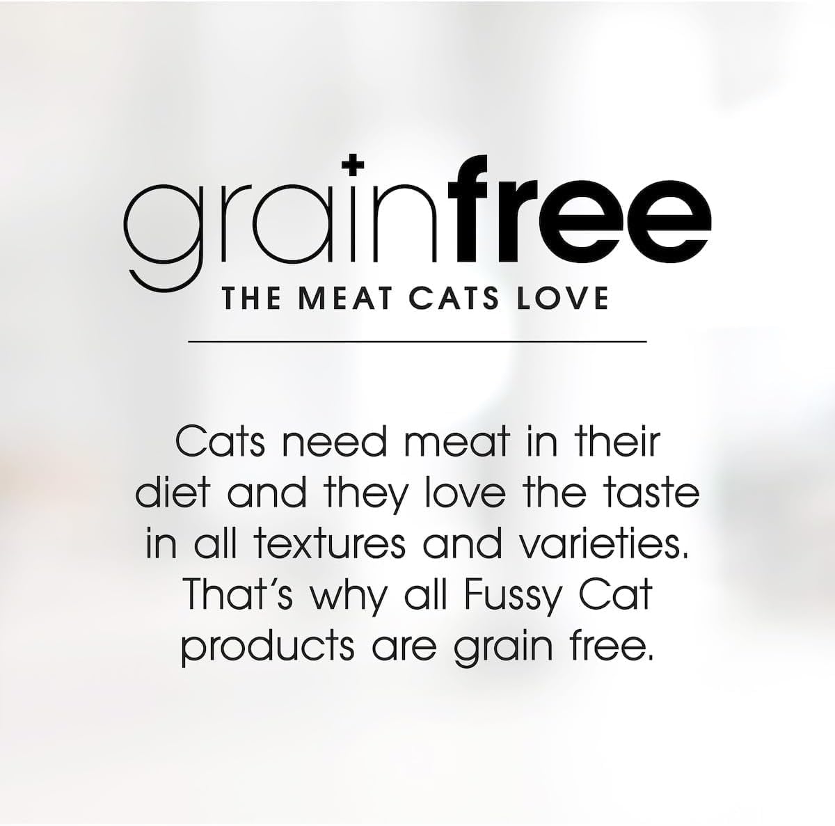 Fussy Cat Grain Free Twice as Tasty Kitten Wet Food, Kitten Mince 12x80g