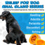 Anal Gland Support Chews for Dogs – Digestive & Bowel Health Formula