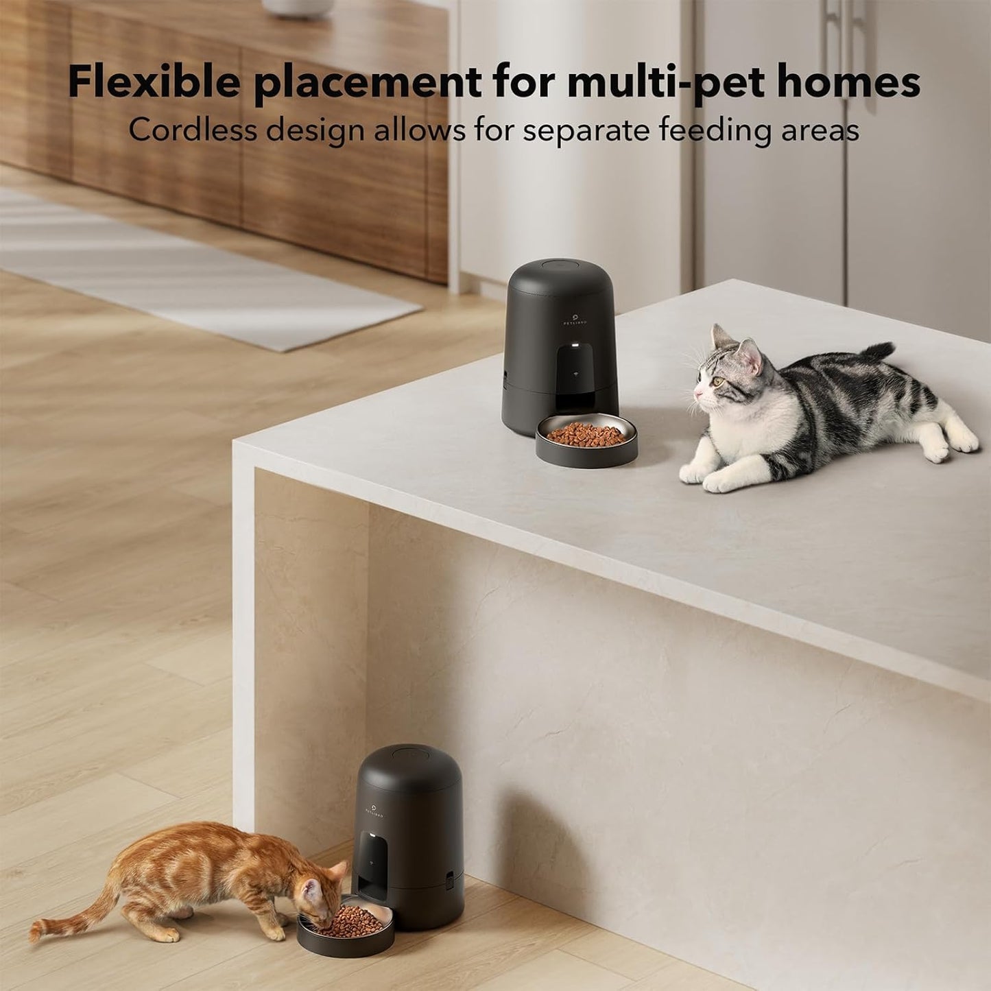 PETLIBRO Automatic Cat Feeder, Wi-Fi Rechargeable Cats Food Dispenser Battery-Operated with 30-Day Life, AIR 2.4G Wi-Fi Timed Pet Feeder for Cats & Dogs, 2L Auto Cat Feeder, Black