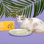 Kitty-Medi-Check Cat Urine Health Test Kit, Easy Monitoring at Home,100% Eco-Friendly - Mix 3 Combo Pack (Alkalinuria, Proteinuria, Hematuria)-210g/7.4oz 100% Biodegradable.