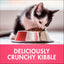 PURINA ONE Kitten Dry Cat Food Immune Defence Plus+ Chicken 1.4kg