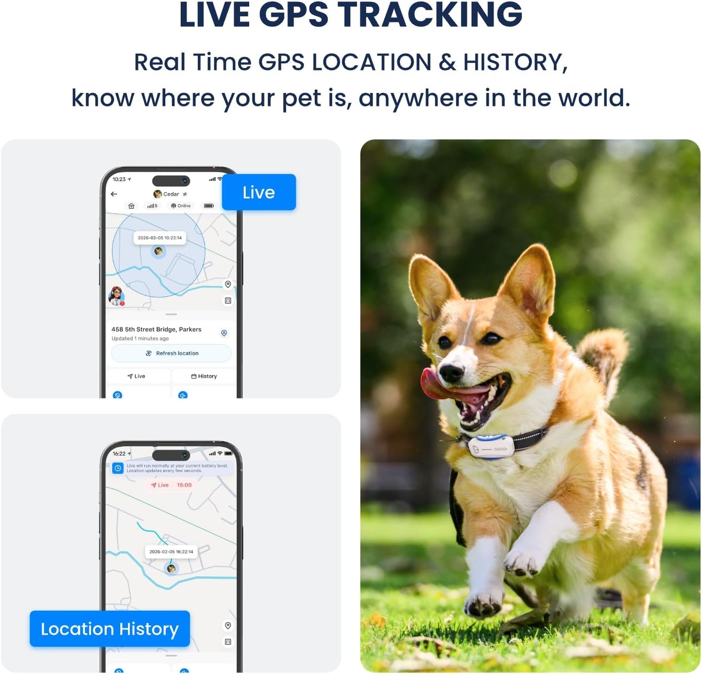 DBDD AI GPS Tracker for Dogs, Real Time Location and AI Health Care Management, Electronic Fence, Waterproof, iOS and Android Compatible (White)