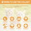 4 Pcs Cat Calming Collar Adjustable Lavender Scent Relaxing Cat Collar with 2 Pendant