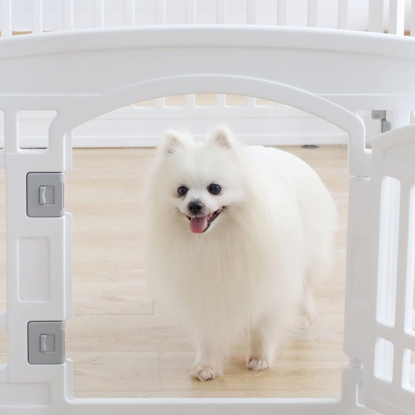 Gupamiga Pet Playpen Foldable Gate for Dogs Heavy Plastic Dog Playpen Puppy Exercise(White 6*Panel)