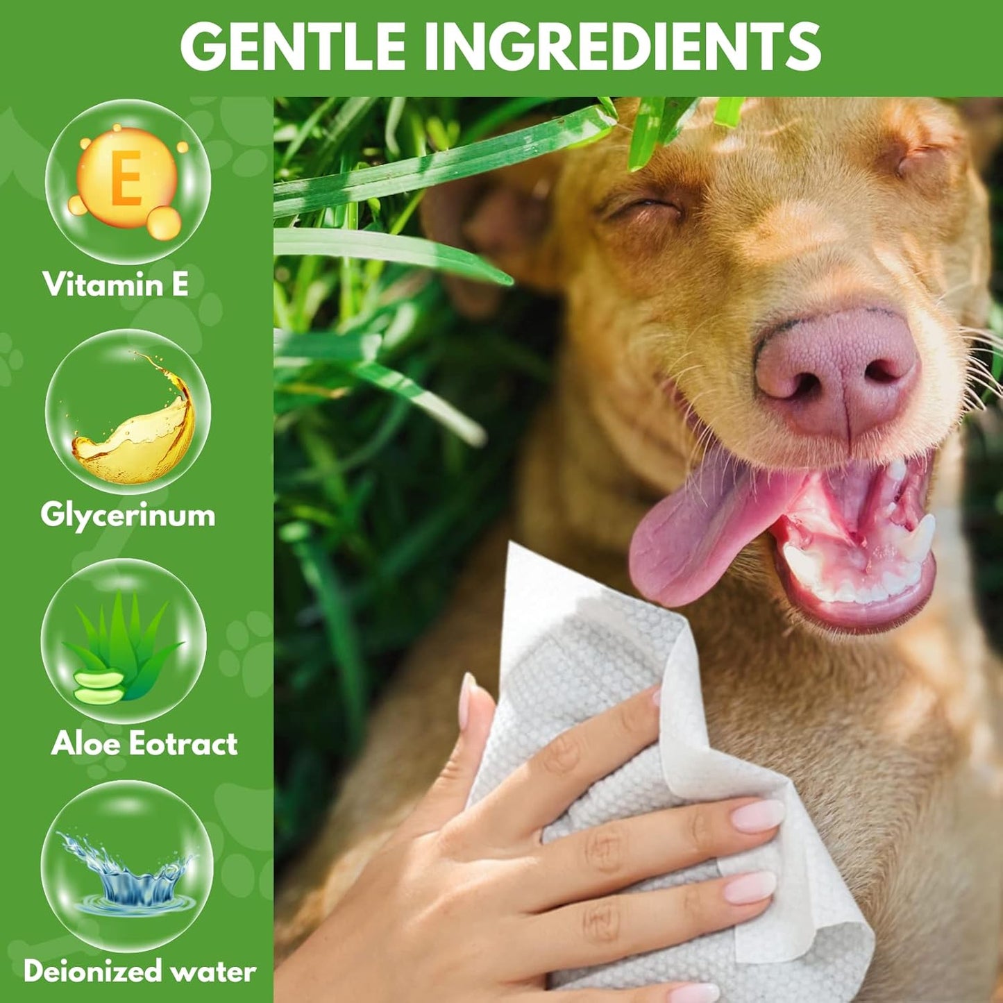 VIETDAI Dog Wipes Pet Wipes for Dogs & Cats Big Thick Large Multipurpose Cleaning