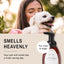 Eye Envy Tear Stain Facial Cleanser for Dogs and Cats (8.45 Fl Oz)