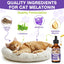 Cat Melatonin, Melatonin for Cats, Cat Tranquilizer to Anxiety Relief