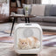 62L Dog Dryer Box, 360° Efficient Automatic and Quiet Cat Pet Dryer Box with Smart Temperature Control, Ideal for Cats and Medium Dogs (white)