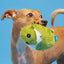 Bark Consuela The Cactus Plush Dog Toy – Rip & Reveal Squeaky Cactus for All Dogs