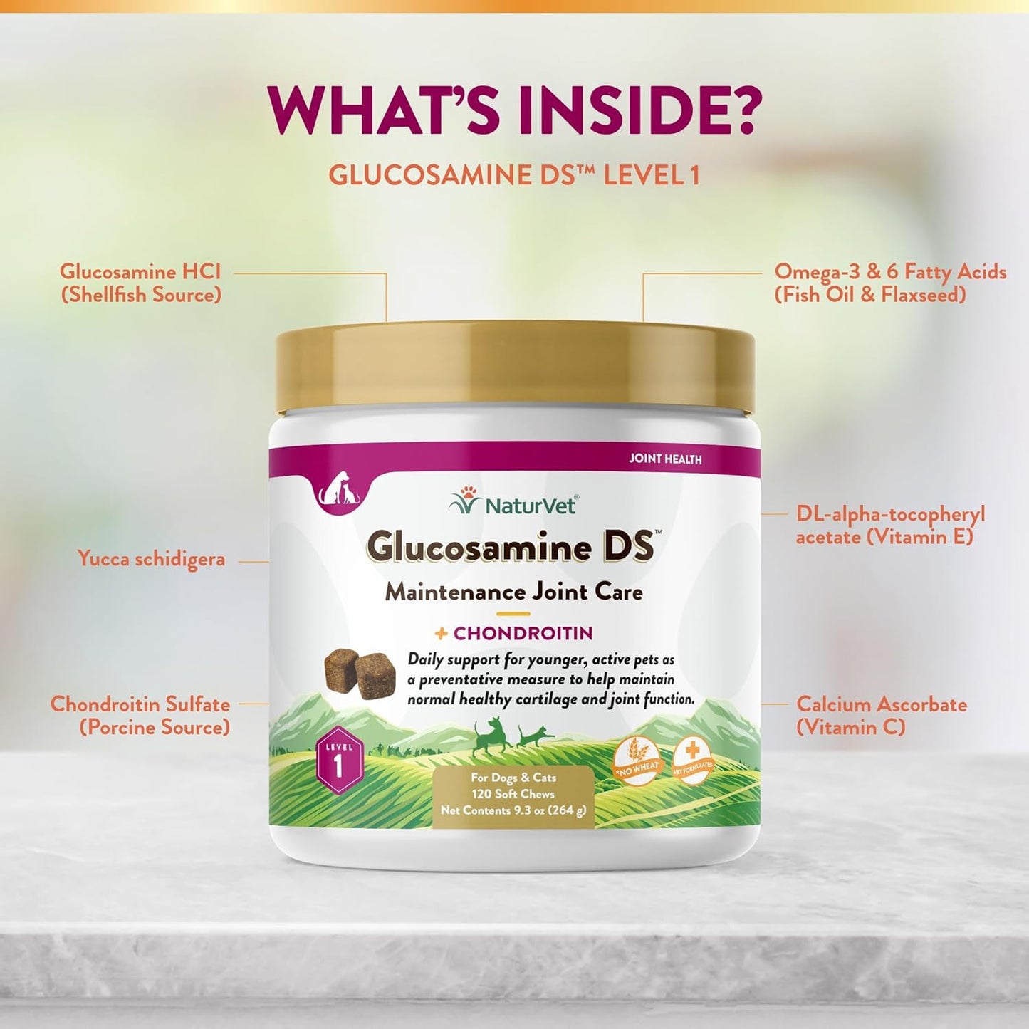 NaturVet Glucosamine DS Level 1 Maintenance Joint Care for Dogs and Cats, 120 ct Soft Chews, Made in USA