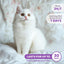 Calming Pheromone Spray & Scratch Repellent for Cats