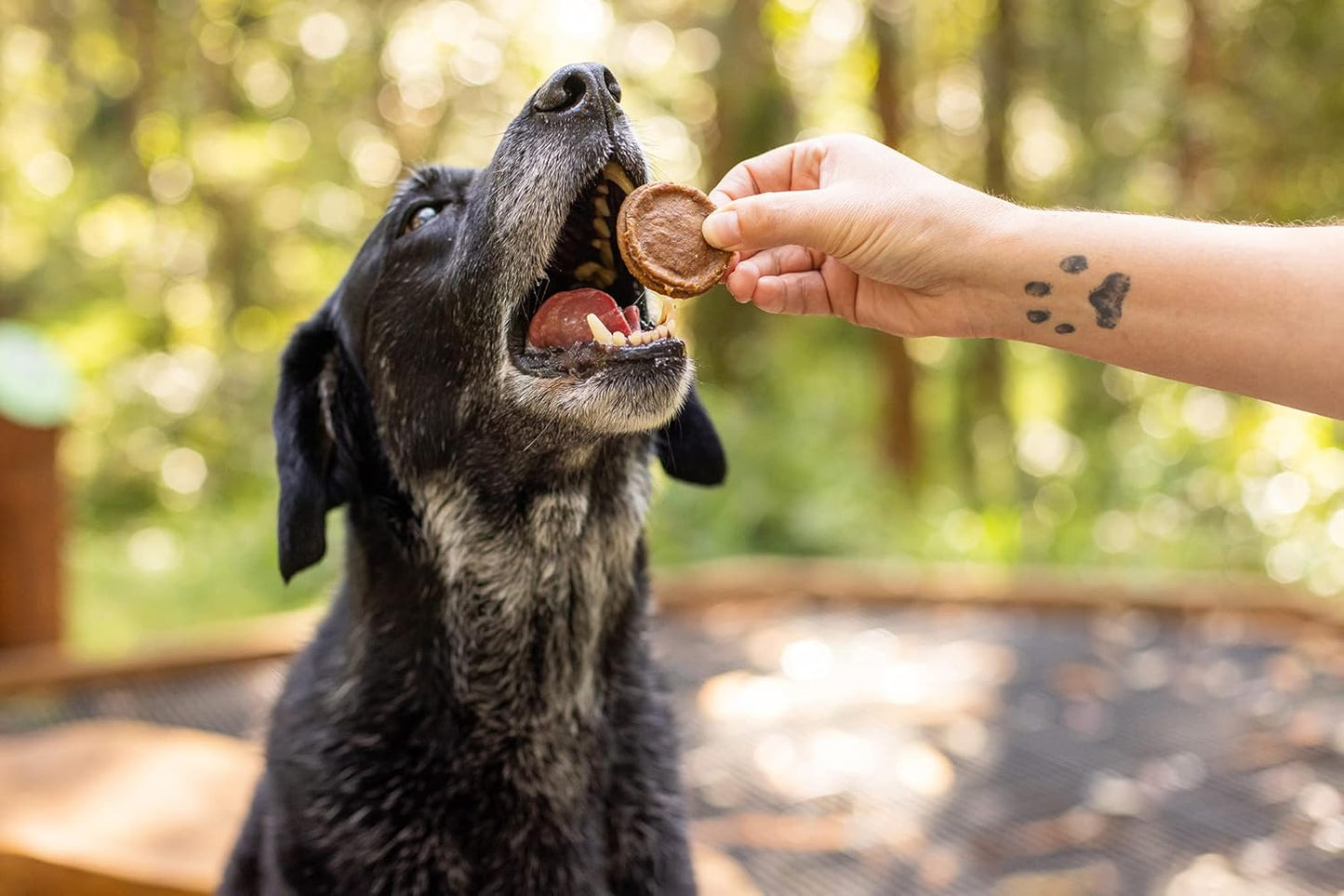 Aussie Mini Burgers - 100% Aussie Chicken & Superfood Ingredients - Natural, Grain-Free Dog Treats - Snacks, Training or Rewards for Dogs - 110g