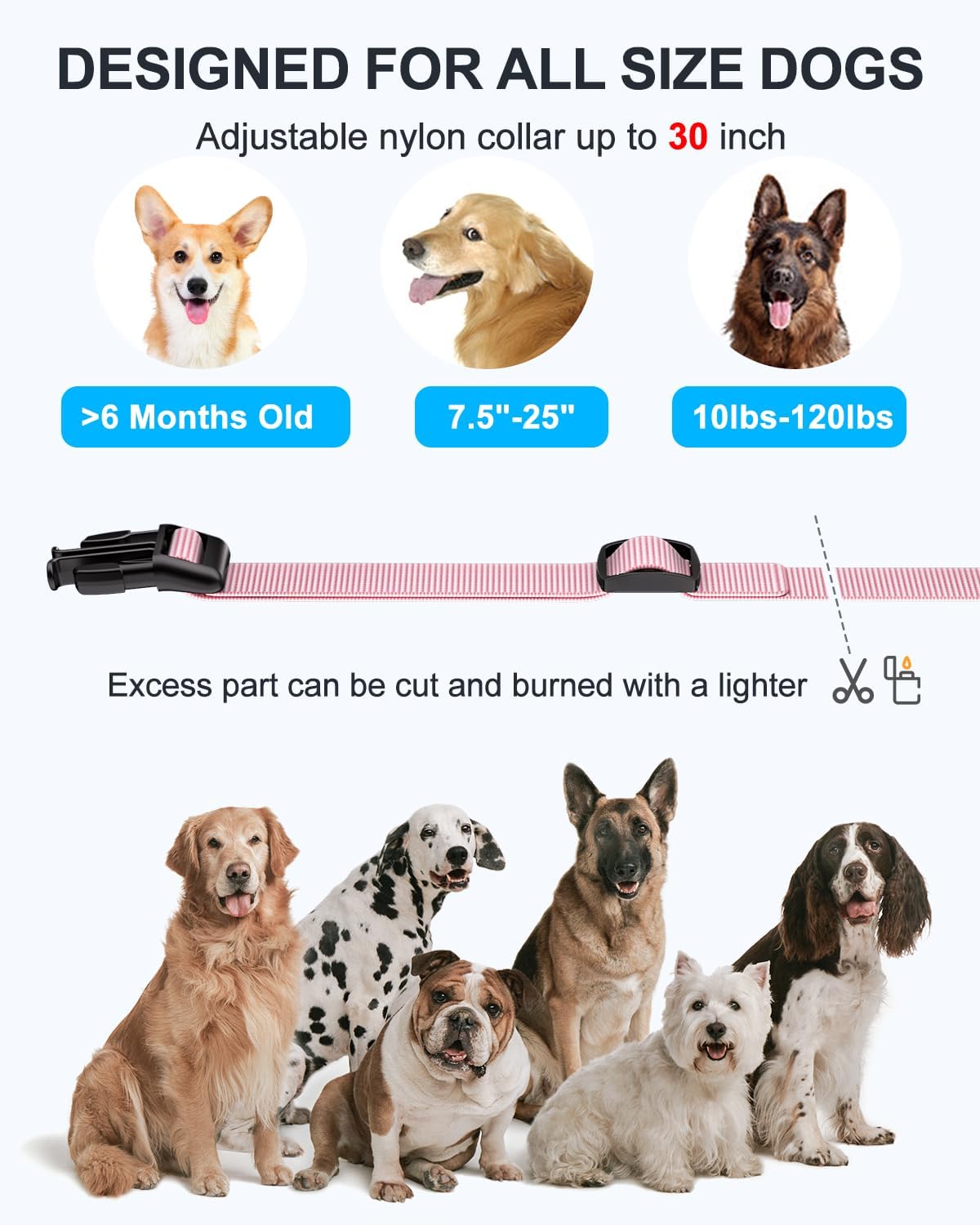 No Shock Dog Training Collar with Remote, Dog Vibration Collar with Controller Beep and Vibrate Only, Safe Lock Waterproof Rechargeable Vibrating Collars for Dogs(10-120 lbs)-No Prongs (Pink)