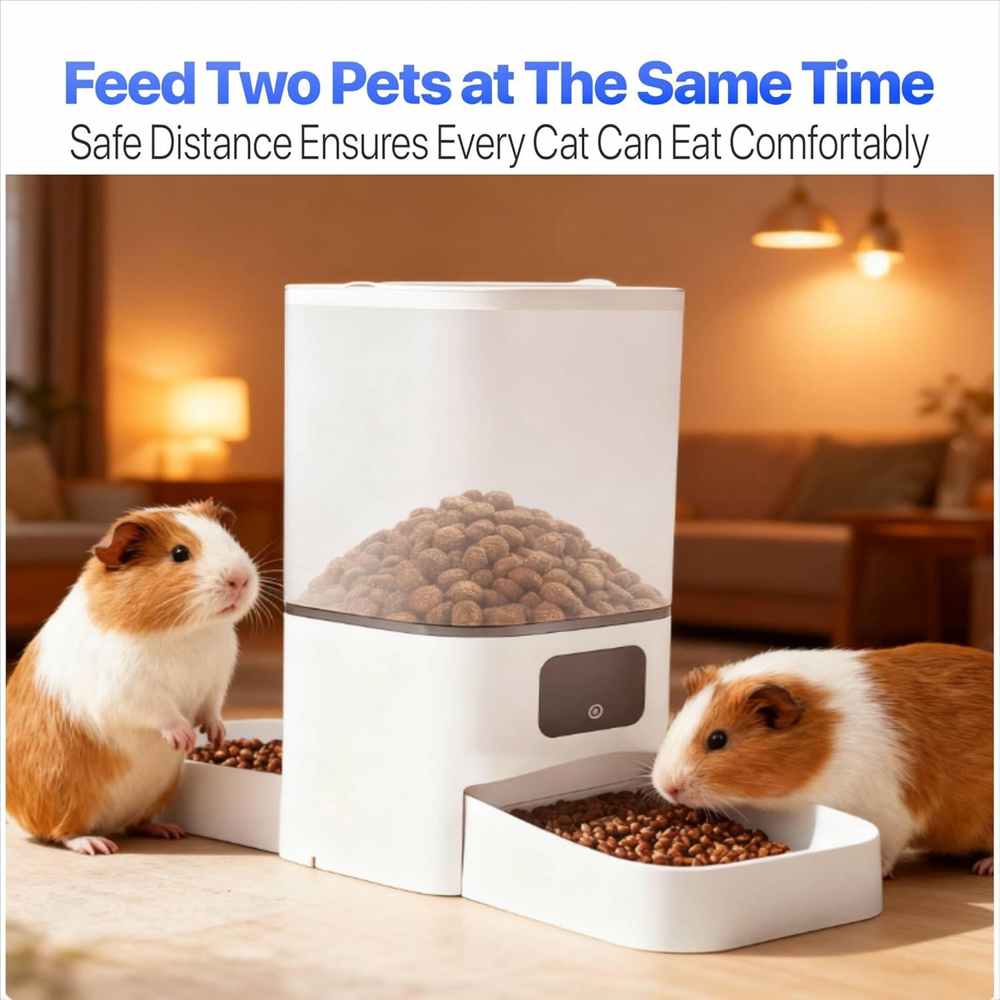 Automatic Cat Feeder for 2 Cat, 6L Dual Auto Cat Food Dispenser with Slow Feed, Smart WiFi APP Control