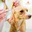 Blood Sugar Glucose Monitor System for Dogs and Cats - Pet Glucose Monitoring Kit