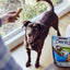 Dentallife Adult Daily Large Breed Dog Dental Treats