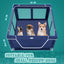 XVISHX 42x42x25.6 Inches Puppy Playpen with Gate, Dog Fence for Indoor & Outdoor, Blue