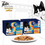 FELIX Adult Sensations Jellies Meat Selection Wet Cat Food, 48x85g