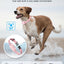 No Shock Dog Training Collar with Remote, Dog Vibration Collar with Controller Beep and Vibrate Only, Safe Lock Waterproof Rechargeable Vibrating Collars for Dogs(10-120 lbs)-No Prongs (Pink)