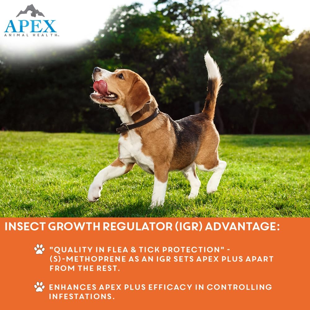 Apex Plus Flea and Tick Prevention for Dogs | Small (5-22 lbs) | 6-Month Supply | Dog Flea and Tick Treatment