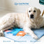 The Green Pet Shop Cool Pet Pad - Large, Disney’s Stitch - Self-Cooling, Pressure Activated Mat for Dogs & Cats from 46-80 lbs - Non-Toxic Gel, No Water Needed