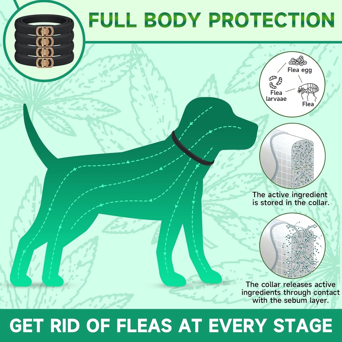 4 Pack Flea Collar for Dogs, Dog Flea and Tick Treatment, 8 Months Protection