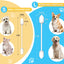 Dog Ear Cleaning Swabs – Gourd-Shaped Design for Safe Pet Ear Care, L-Size, 56 Pcs
