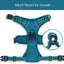 PoyPet No Pull Dog Harness, No Choke Reflective Dog Vest (Tumalo Teal,S)