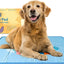 The Green Pet Shop Cool Pet Pad - Large, Disney’s Stitch - Self-Cooling, Pressure Activated Mat for Dogs & Cats from 46-80 lbs - Non-Toxic Gel, No Water Needed