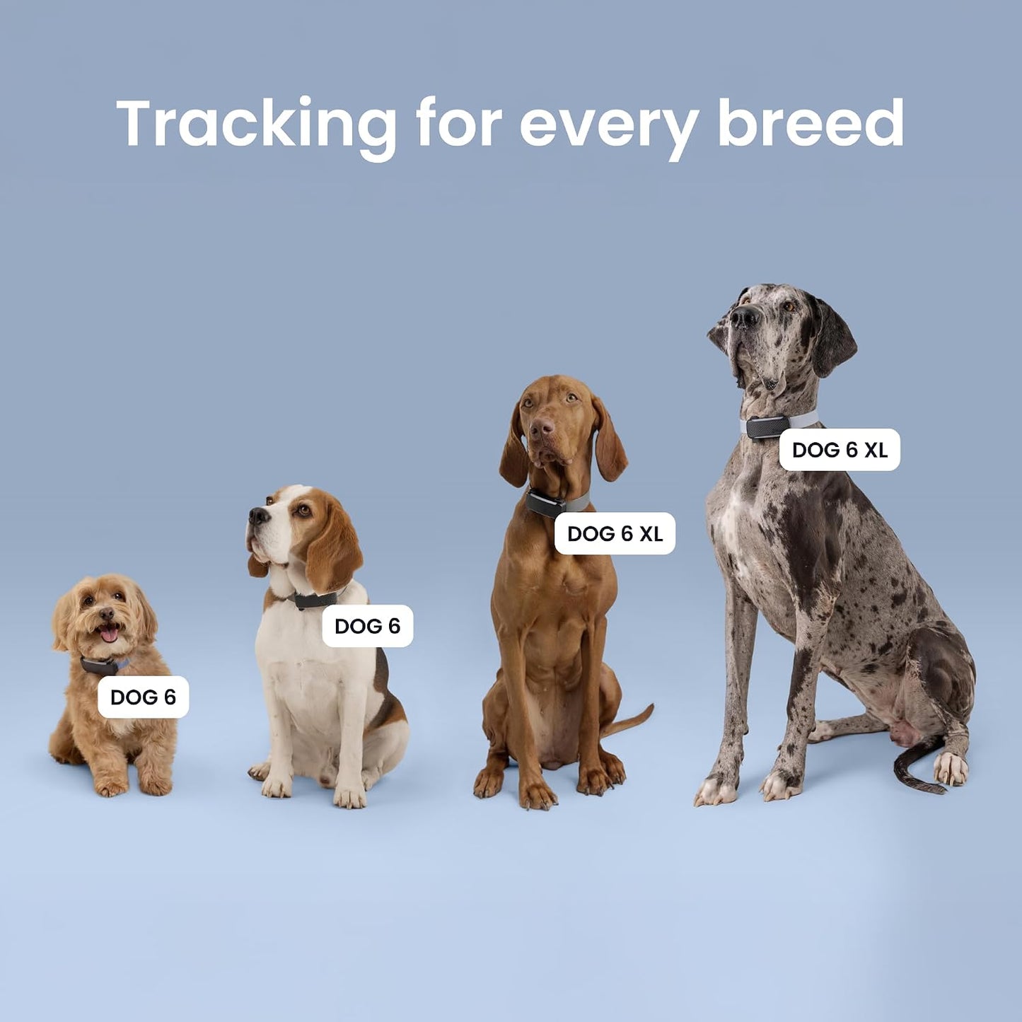 Tractive XL Smart Dog Tracker | 2026 Edition | Real-Time GPS Tracking | Escape & Health Alerts | Vitals Monitoring | Long Battery Life (Black)