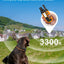 Anti Barking Collar with Remote 3300ft, Dog Training Collar for Small Medium Large Dogs