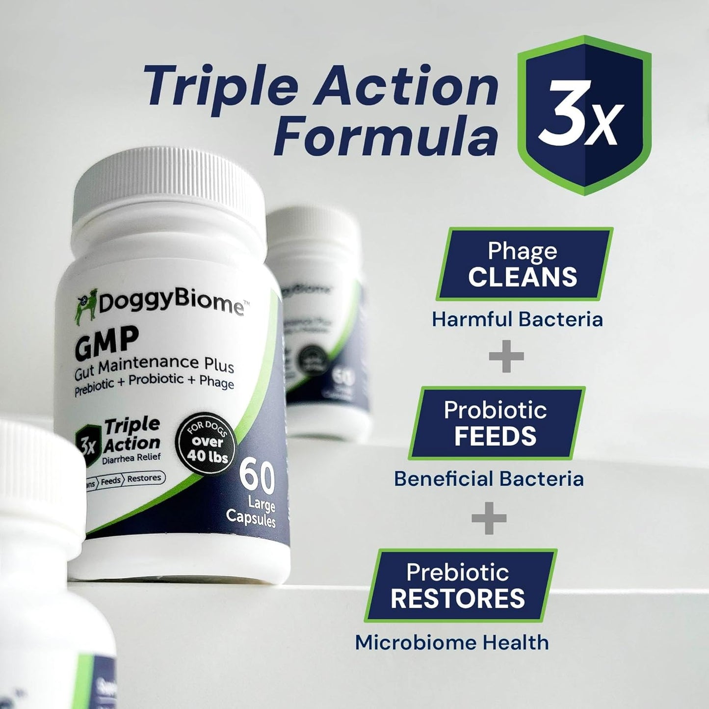 AnimalBiome Dog Probiotics - GMP Prebiotics and Probiotics - Reduce Diarrhea Flareups - for Dogs Over 40 lbs (60 Capsules) - DoggyBiome