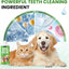 Dog Breath Freshener – Enzymatic Dog Dental Water Additive for Teeth Claning,16oz