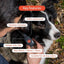 PitPat Dog GPS Tracker - No Subscription Required - Suitable for All (Black)