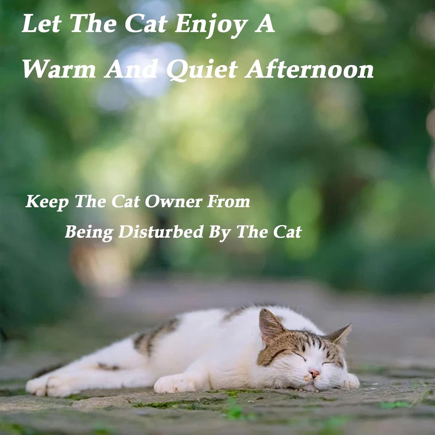 TherapetMD Cat Diffuser, Cats Pheromone Refill, Spray Pheromones to Relieve Anxiety and Prevent Stress(3 Pack)