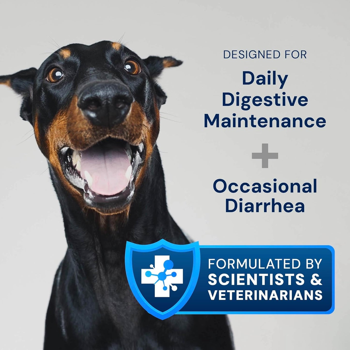AnimalBiome Dog Probiotics - GMP Prebiotics and Probiotics - Reduce Diarrhea Flareups - for Dogs Over 40 lbs (60 Capsules) - DoggyBiome