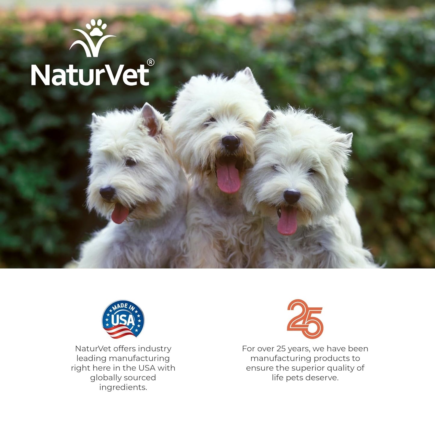 NaturVet Tearstain Remover Topical, 120 ml