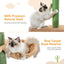 PAWZ Road Floor to Ceiling Cactus Cat Tree for Indoor Cats, Tall Cat Tower [229CM-275CM] Adjustable, Cat Climbing Tree with Cat Scratching Post, Hammock, Dangling Ball Toy,Green