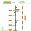 PAWZ Road Floor to Ceiling Cactus Cat Tree for Indoor Cats, Tall Cat Tower [229CM-275CM] Adjustable, Cat Climbing Tree with Cat Scratching Post, Hammock, Dangling Ball Toy,Green