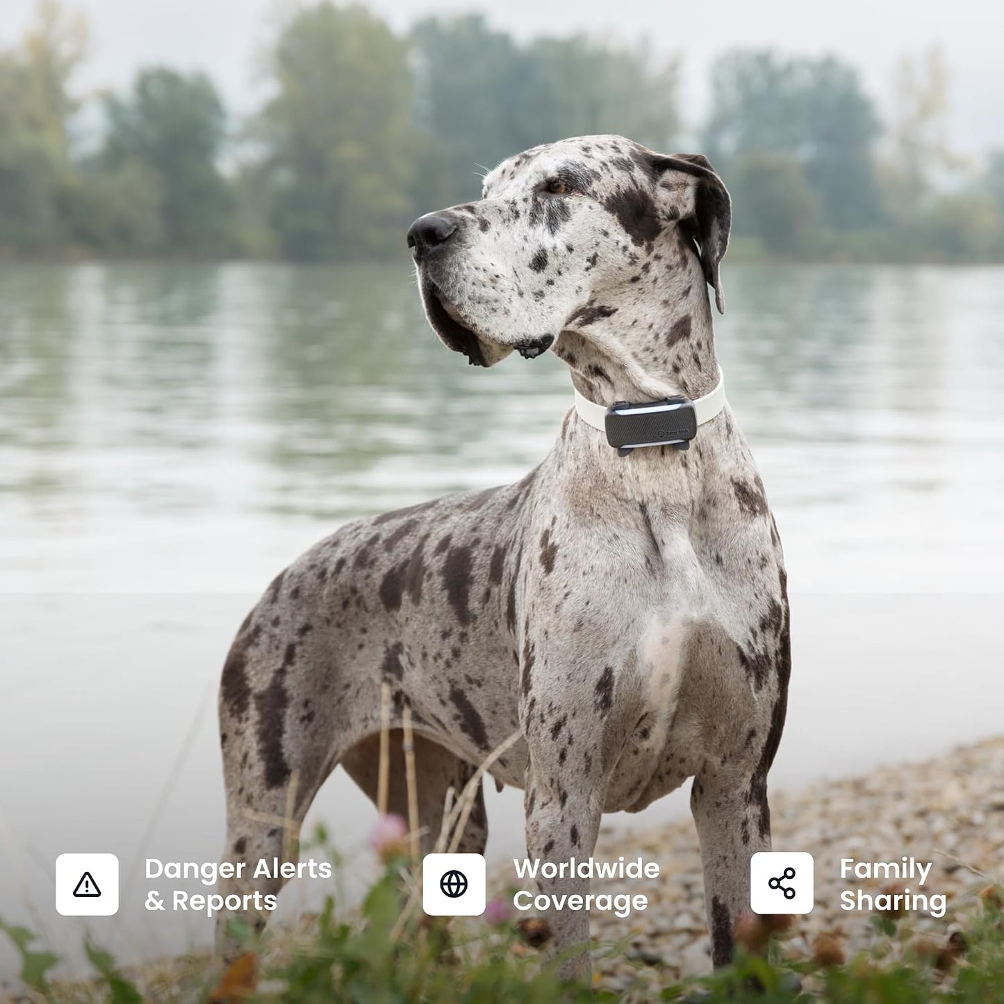 Tractive XL Smart Dog Tracker | 2026 Edition | Real-Time GPS Tracking | Escape & Health Alerts | Vitals Monitoring | Long Battery Life (Black)