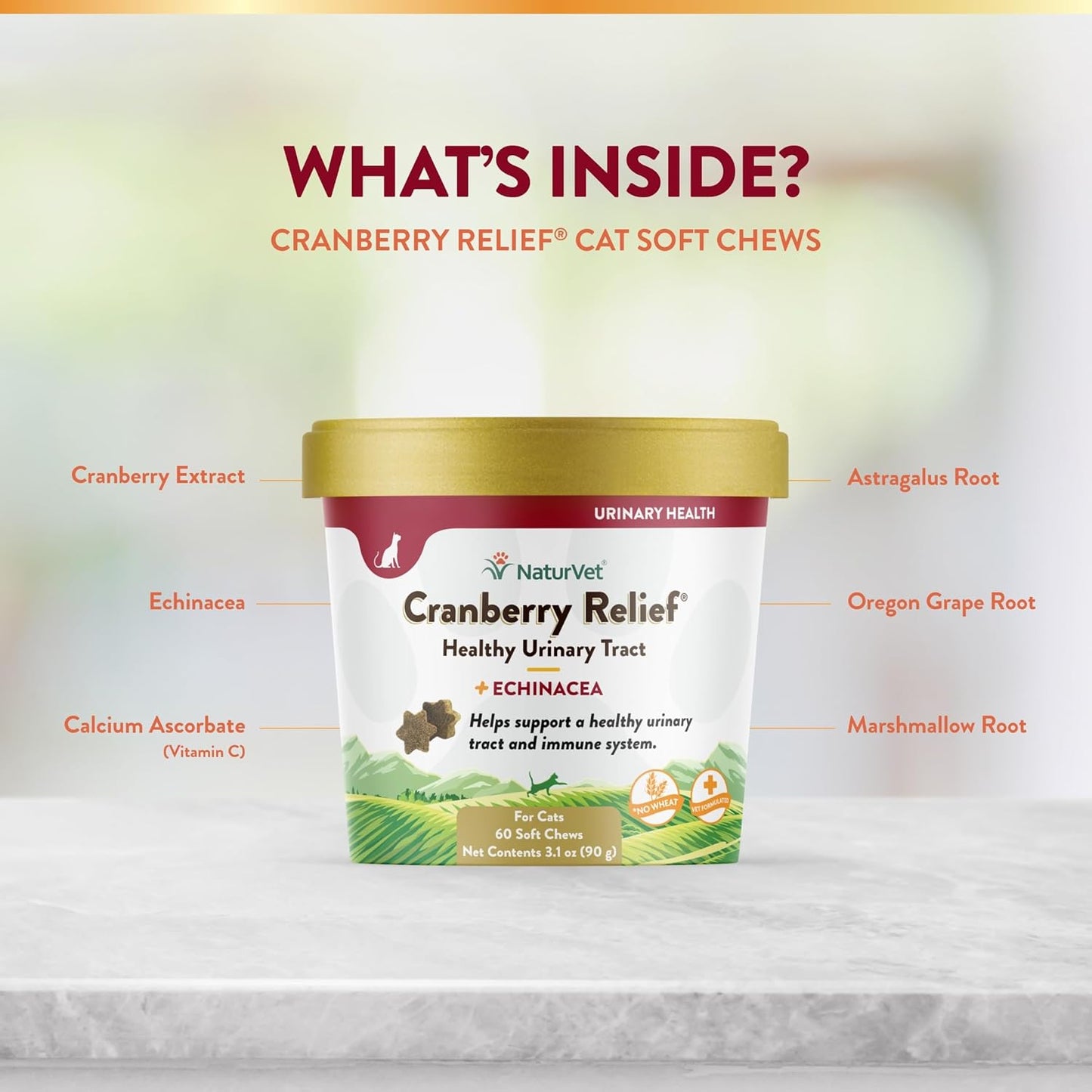 NaturVet Cranberry Relief & Echinacea Cat Soft Chew Cup Healthy Urinary 60ct