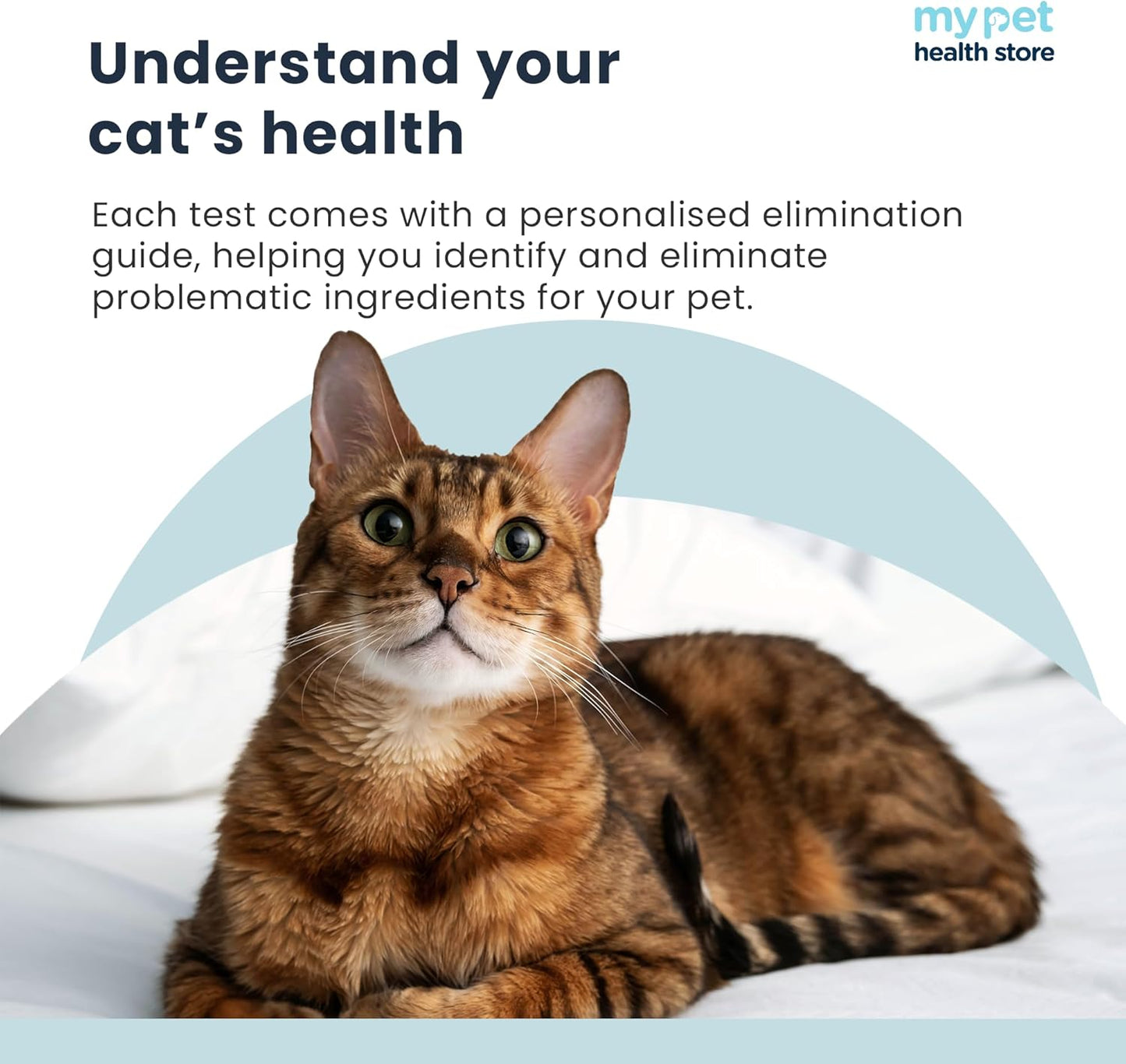 My Pet Health Store Allergen Sensitivity Test - Home Cat Allergen Test | 300 Items | Fast 3-5 Day Results | Gentle Fur Sampling | Comprehensive Food & Environment Analysis | Suitable for All Cats