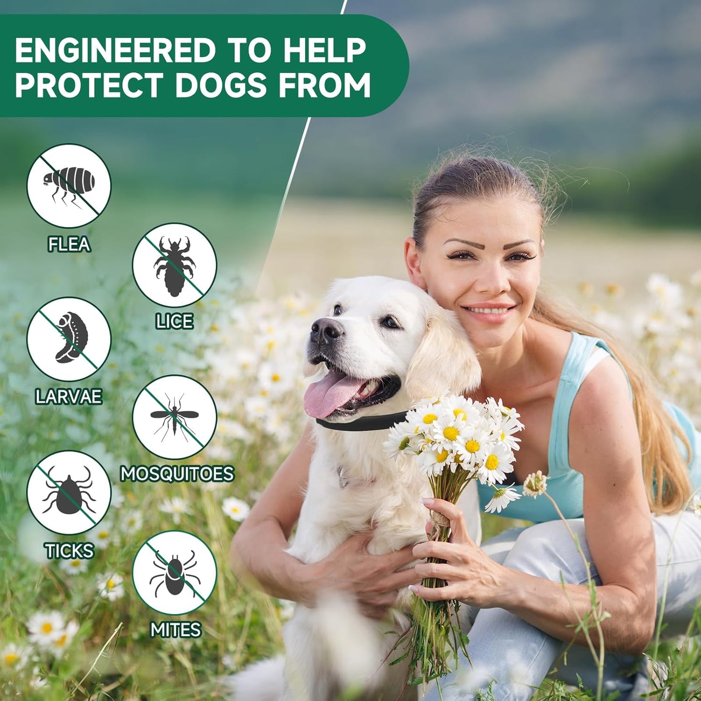 4 Pack Flea Collar for Dogs, Dog Flea and Tick Treatment, 8 Months Protection