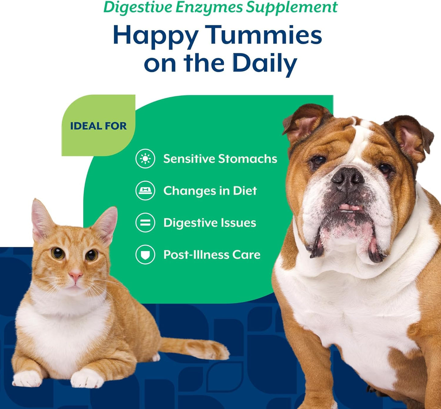 NaturVet Digestive Enzymes and Probiotics, 227g