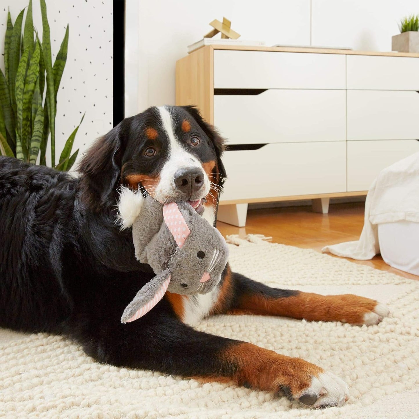 Bark Itty & Bitty The Bunny Slippers Dog Toy – Soft Plush Squeaky “Slipper” Toy for Extra-Small & Small Dogs