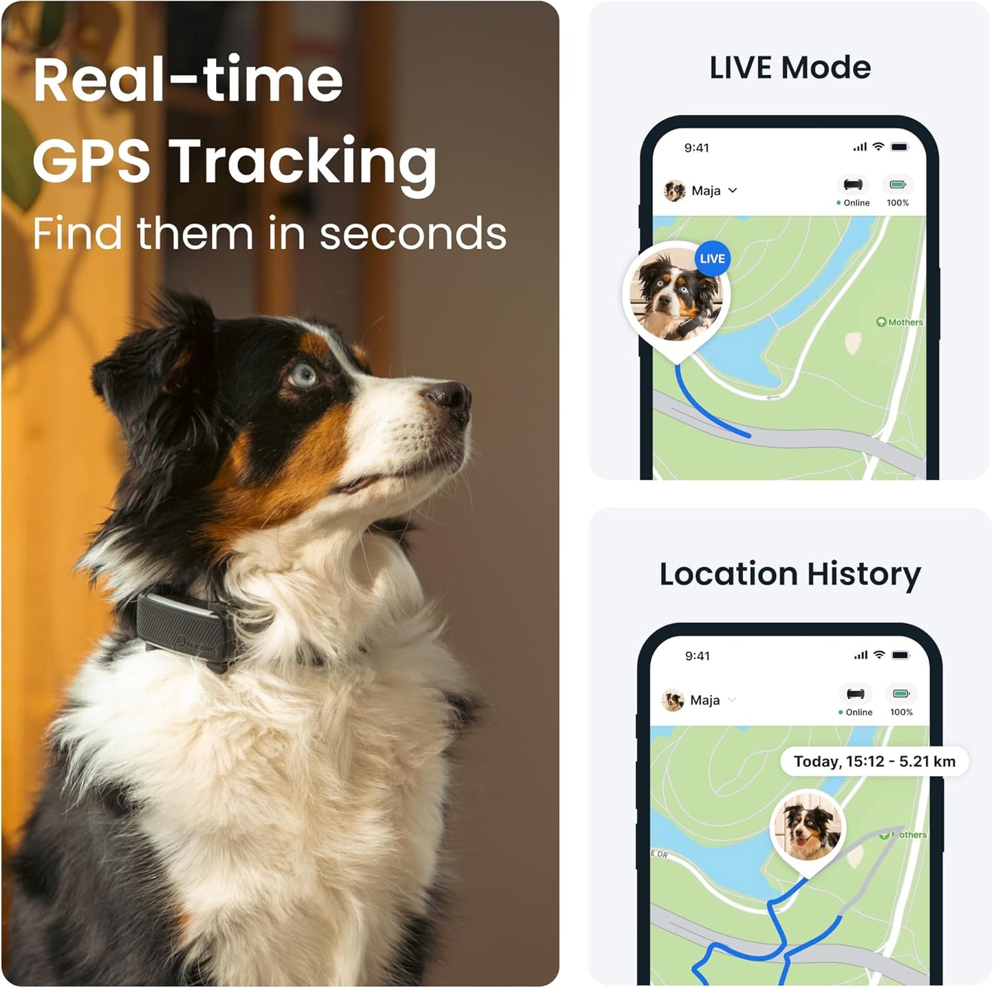 Tractive GPS Dog Tracker | 2025 Edition | Market Leader | Real-time Location Tracking | Escape Alerts | Activity Monitoring | Health Alerts | Bark Monitoring (Black)